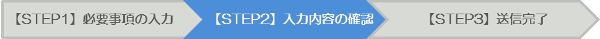 ステップ２：入力内容の確認